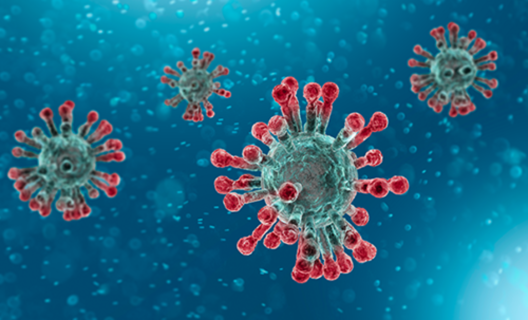 Belangrijk, hoe handelen wij met het coronavirus?