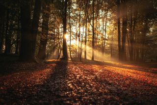 Herfstvakantie