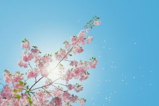 Spring is coming.....