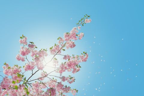 Spring is coming.....