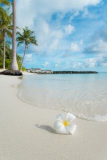 Zonbescherming en huidverzorging, uw gids voor een stralende vakantie!